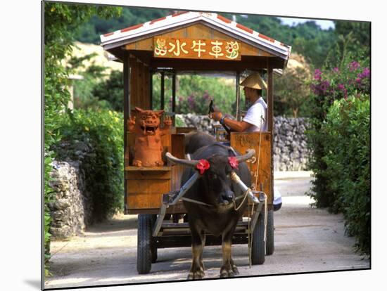 Water Buffalo Cart, Taketomi Island, Okinawa, Japan-Rob Tilley-Mounted Photographic Print