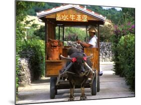 Water Buffalo Cart, Taketomi Island, Okinawa, Japan-Rob Tilley-Mounted Photographic Print