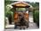 Water Buffalo Cart, Taketomi Island, Okinawa, Japan-Rob Tilley-Mounted Photographic Print