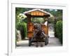 Water Buffalo Cart, Taketomi Island, Okinawa, Japan-Rob Tilley-Framed Photographic Print