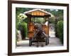 Water Buffalo Cart, Taketomi Island, Okinawa, Japan-Rob Tilley-Framed Photographic Print