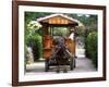 Water Buffalo Cart, Taketomi Island, Okinawa, Japan-Rob Tilley-Framed Photographic Print