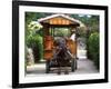 Water Buffalo Cart, Taketomi Island, Okinawa, Japan-Rob Tilley-Framed Photographic Print