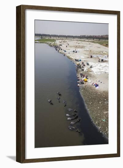 Water Buffalo Drinking from the Yamuna River-Roberto Moiola-Framed Photographic Print