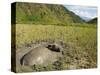 Water Buffalo in Mud Pool in Rice Field, Sagada Town, the Cordillera Mountains, Luzon, Philippines-Kober Christian-Stretched Canvas