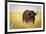 Water Buffalo with Bird in the Veldt of the Maasai Mara, Kenya-Axel Brunst-Framed Photographic Print