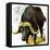 Water Buffalo-English School-Framed Stretched Canvas