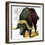 Water Buffalo-English School-Framed Giclee Print