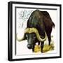 Water Buffalo-English School-Framed Giclee Print