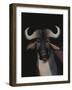 Water Buffalo-Rebekah Ewer-Framed Art Print