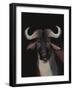Water Buffalo-Rebekah Ewer-Framed Art Print
