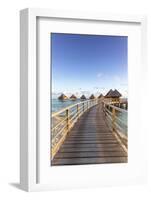 Water Bungalows of Pearl Beach Resort, Rangiroa Atoll, French Polynesia-Matteo Colombo-Framed Photographic Print