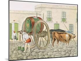 Water Carrier, Argentina-null-Mounted Giclee Print