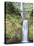 Water Cascades Down Multnomah Falls, Oregon-Ben Coffman-Stretched Canvas