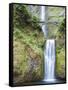 Water Cascades Down Multnomah Falls, Oregon-Ben Coffman-Framed Stretched Canvas