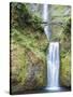 Water Cascades Down Multnomah Falls, Oregon-Ben Coffman-Stretched Canvas