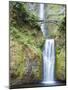 Water Cascades Down Multnomah Falls, Oregon-Ben Coffman-Mounted Photographic Print