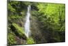 Water Cascading Flowing Over Partnach Gorge. Garmisch-Partenkirchen. Upper Bavaria. Germany-Oscar Dominguez-Mounted Photographic Print