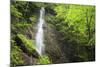 Water Cascading Flowing Over Partnach Gorge. Garmisch-Partenkirchen. Upper Bavaria. Germany-Oscar Dominguez-Mounted Photographic Print