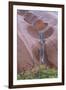 Water Cascading from Ayers Rock-Paul Souders-Framed Photographic Print