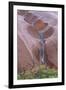 Water Cascading from Ayers Rock-Paul Souders-Framed Photographic Print