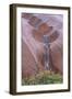 Water Cascading from Ayers Rock-Paul Souders-Framed Photographic Print
