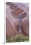 Water Cascading from Ayers Rock-Paul Souders-Framed Photographic Print