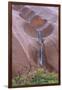 Water Cascading from Ayers Rock-Paul Souders-Framed Photographic Print