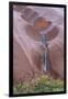 Water Cascading from Ayers Rock-Paul Souders-Framed Photographic Print