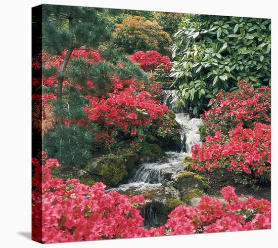 Water Cascading Through Garden-null-Stretched Canvas