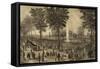 Water Celebration on the Commons - 1848-Tappan & Bradford-Framed Stretched Canvas