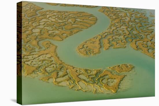 Water Channels Making Patterns in Saltmarsh, Seen from the Air. Abbotts Hall Farm, Essex, UK-Terry Whittaker-Stretched Canvas