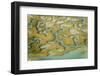 Water Channels Making Patterns in Saltmarsh, Seen from the Air. Abbotts Hall Farm, Essex, UK-Terry Whittaker-Framed Photographic Print