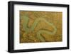 Water Channels Making Patterns in Saltmarsh, Seen from the Air. Abbotts Hall Farm, Essex, UK-Terry Whittaker-Framed Photographic Print