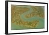 Water Channels Making Patterns in Saltmarsh, Seen from the Air. Abbotts Hall Farm, Essex, UK-Terry Whittaker-Framed Photographic Print