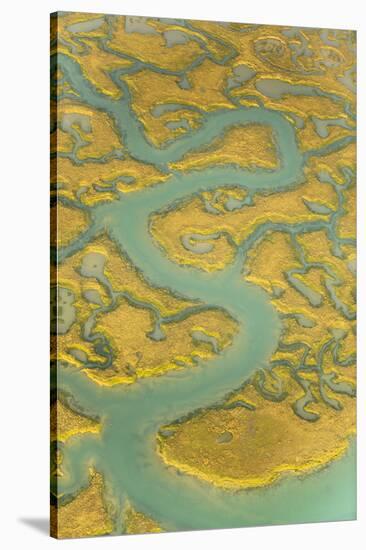 Water Channels Making Patterns in Saltmarsh, Seen from the Air. Abbotts Hall Farm, Essex, UK-Terry Whittaker-Stretched Canvas