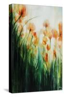 Water Color Poppy Feild-Rikki Drotar-Stretched Canvas