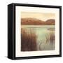 Water Colors II-Amy Melious-Framed Stretched Canvas