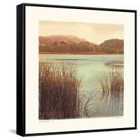 Water Colors II-Amy Melious-Framed Stretched Canvas