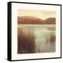 Water Colors II-Amy Melious-Framed Stretched Canvas