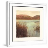 Water Colors II-Amy Melious-Framed Art Print