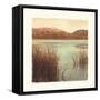Water Colors II-Amy Melious-Framed Stretched Canvas