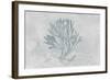 Water Coral III-Lisa Audit-Framed Art Print