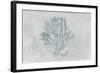 Water Coral III-Lisa Audit-Framed Art Print