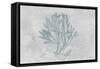 Water Coral III-Lisa Audit-Framed Stretched Canvas