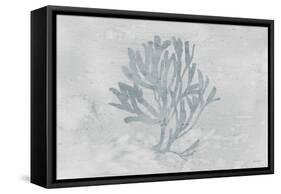 Water Coral III-Lisa Audit-Framed Stretched Canvas