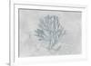 Water Coral III-Lisa Audit-Framed Art Print