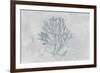 Water Coral III-Lisa Audit-Framed Art Print