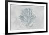 Water Coral III-Lisa Audit-Framed Art Print