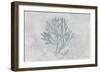 Water Coral III-Lisa Audit-Framed Art Print